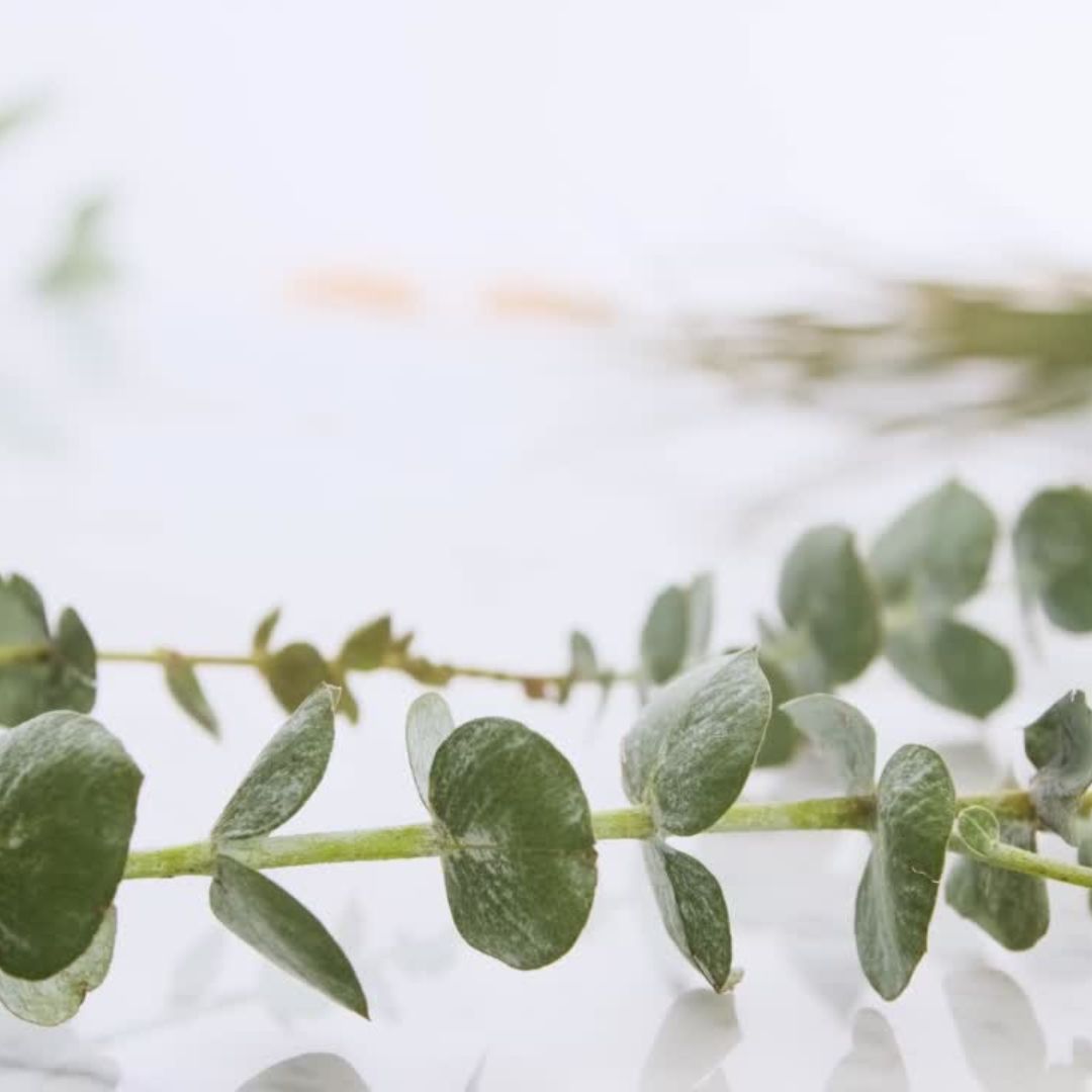 Revive - What Does Your Scent Say About You?